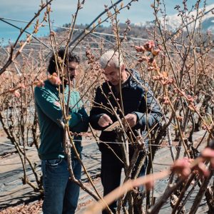 Lorenzo Gallia si confronta con Stefano Gallo, titolare dell’omonima azienda agricola, sul posizionamento dei sensori.