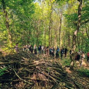 Il progetto LIFE Climate Positive organizza visite guidate ed eventi aperti al pubblico per far conoscere la funzione sociale, ricreativa ed educativa del bosco.