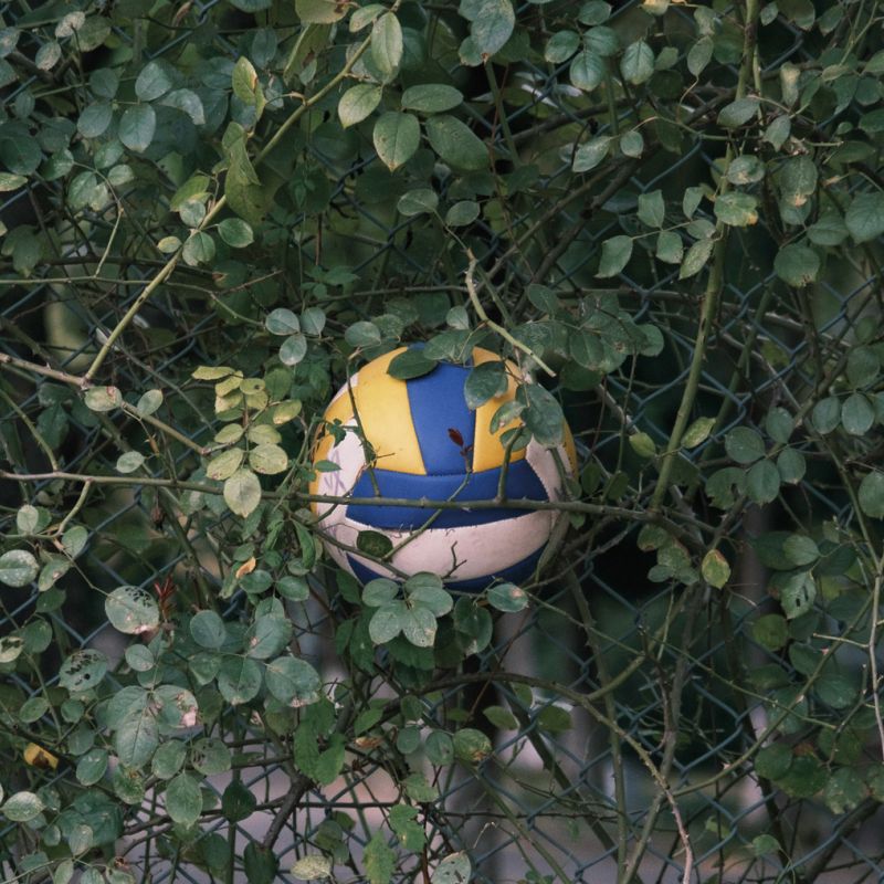 Scoprire il talento, valorizzare la squadra